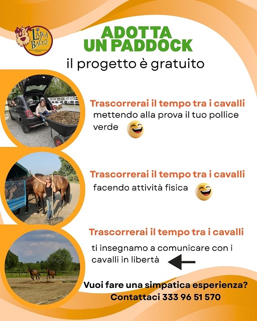 adotta un paddock